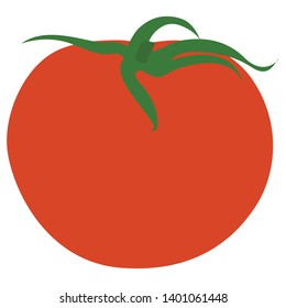 Cartoon flat design tomato vector illustration