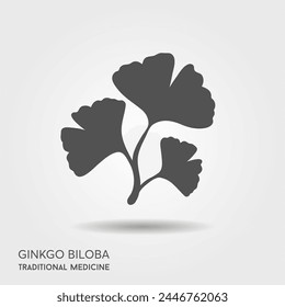 Cartoon flat ginkgo biloba leaves isolated with shadow. Nature eco icon. Vector illustration. Leaflet organic icon. Cosmetics and medical plant icon