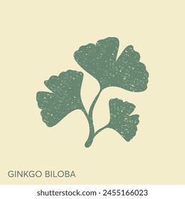 Cartoon flat ginkgo biloba leaves illustration in a retro style. Nature eco icon. Vector illustration. Leaflet organic icon. Cosmetics and medical plant icon