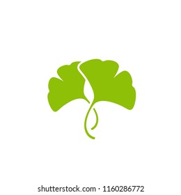 Cartoon flat green ginkgo biloba leaves isolated on white. Nature eco icon. Vector illustration. Leaflet organic icon. Cosmetics and medical plant icon