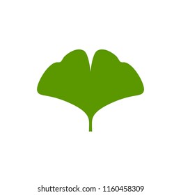 Cartoon flat green ginkgo biloba leaf isolated on white. Nature eco icon. Vector illustration. Leaflet organic icon. Cosmetics and medical plant icon