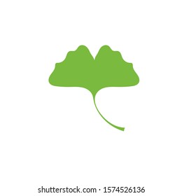 Cartoon flat green ginkgo biloba leaf isolated on white. Nature eco icon. Vector illustration. Leaflet organic icon. Cosmetics and medical plant icon. Japanese walnut Tree element.