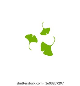 Cartoon flat green ginkgo biloba leaves isolated on white. Nature eco icon. Vector illustration. Leaflet organic icon. Cosmetics and medical plant icon