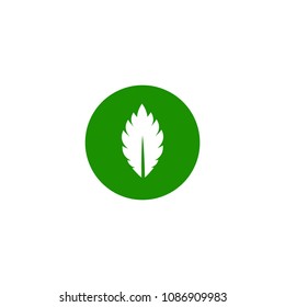 Cartoon flat green leaf in circle with green contour. Eco icon. isolated on white. Vector illustration. Leaflet organic icon.