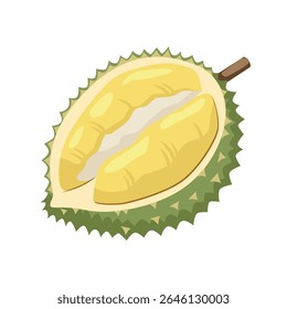 Cartoon flat illustration of Durian tropical fruit isolated of white background. King of fruits