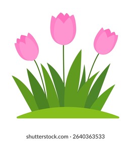 Cartoon Flat Pink Flowers In Green Grass, Isolated On White Background. Vector Illustration