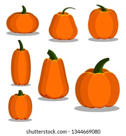 Cartoon flat style colorful pumpkin icons set. Sign kit of halloween. Thanksgiving pictogram collection farm harvest, closeup squash isolated on white background. Vector simple vegetable illustration
