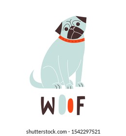 Cartoon flat style vector illustration with a pug dog and woof sign. Great design element for sticker, patch or poster. 