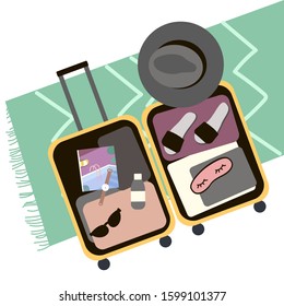 Cartoon flat vector illustration bag. Suitcase traveler.