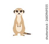 Cartoon flat vector illustration of a meerkat standing upright, alert posture with big eyes and simple shapes, isolated