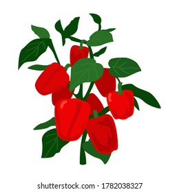 Ilustración vectorial plana de dibujos animados pimienta amarilla. Verduras.