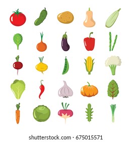 Cartoon flat vegetables organic healthy. Set of vegetables eggplant, carrot and cucumber illustration