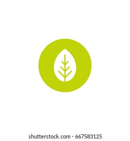 Cartoon Flat White Leaf In Green Circle. Eco Icon. Isolated On White. Vector Illustration. Organic Icon. Eco Friendly Logo