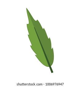 Cartoon Floral Leaf Vector Illustration Graphic Design