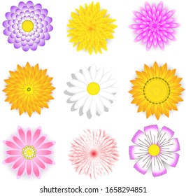 Cartoon flower icons. Summer cute girly stickers, modern flowers clip art icon set. Vector retro pretty nature graphic template