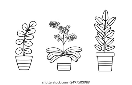 Flores de dibujos animados en el contorno de macetas. Ilustración vectorial de plantas de interior para interior.