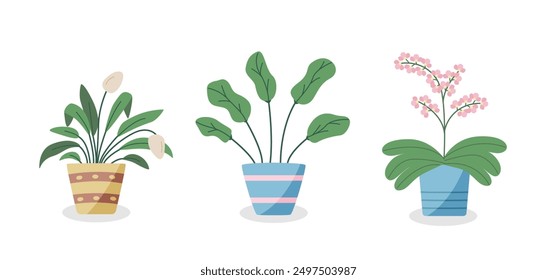 Cartoon flowers in pots. Vector illustration of indoor plants for the interior.