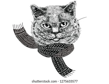 Cartoon fluffy cat in knitted funny scarf