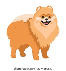 Cartoon fluffy dog breeds flat icon. Happy pet vector illustration. Corgi, Basenji, Dachshund, malamute, Samoyed. Mammals and animals concept
