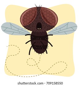cartoon fly.