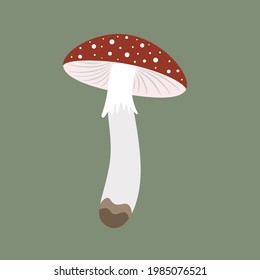 La caricatura vuela agaric. Hongos del bosque de Amanita. Ilustración vectorial agria de mosca envenenada. champiñón manchado rojo. Aislado sobre fondo blanco. 