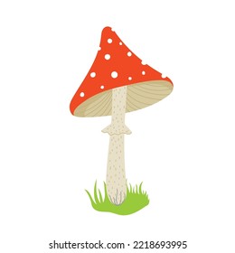 Cartoon fly agaric. Amanita forest mushrooms. Poisonous fly agaric flat vector illustration. Red spotted mushroom. Isolated on white background.