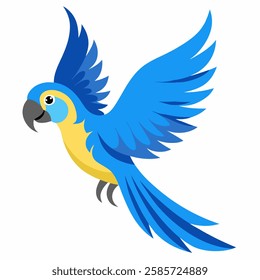 Cartoon flying Amazon macaw parrot blue color.Cute talking domestic bird. Suitable for education poster infographic guide catalog,children's books.Isolated on white background.Pro Vector