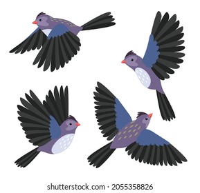 Cartoon flying bird. Birds flyng poses for movement and animation, vector motion birdie character isolated on white background, cute cheerful fowl fly vector cartoons graphic