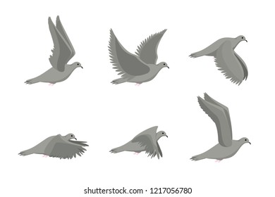 Cartoon Flying Dove Bird Sideways Set Pigeon Flat Design Style Isolated on White Background. Vector illustration of Pigeons