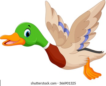 Royalty Free Duck Quack Stock Images Photos Vectors Shutterstock