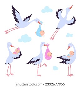 Cigüeñas voladoras con recién nacido. Migración de aves, cigüeña con bebés y mosca. Elementos gráficos de la ducha de bebé, personajes vectores de nacimiento hoy en día