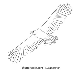 Cartoon flying wild eagle in isolate on a white background. Vector illustration.