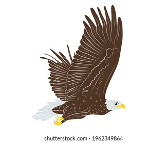 Cartoon flying wild eagle in isolate on a white background. Vector illustration.