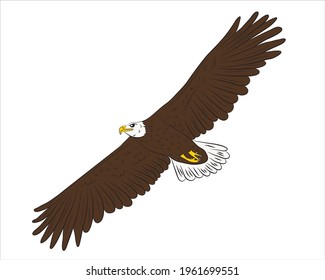 Cartoon flying wild eagle isolated on a white background. Vector illustration.