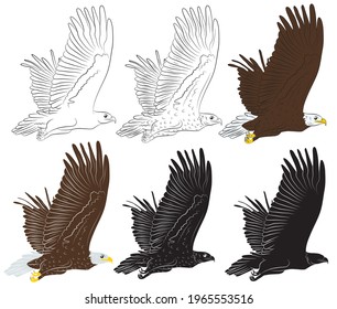 Cartoon flying wild eagle set isolated on a white background. Vector illustration.