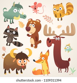 Cartoon forest animal characters.Vector illustration. Big set of cartoon forest animals illustration. Squirrel, mouse, raccoon, boar, fox, buffalo, bear, moose, bird. Isolated