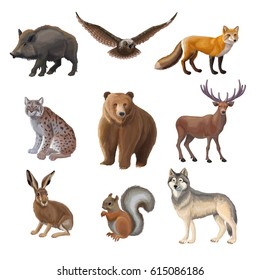 Cartoon forest animals set with wild boar owl fox lynx bear deer hair squirrel wolf isolated vector illustration