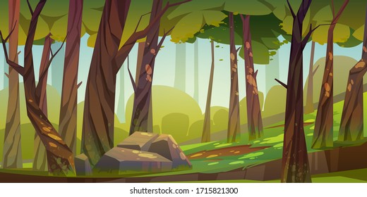 Cartoon forest background, nature landscape with deciduous trees, moss on trunks and rocks, green grass, bushes and sunlight spots on ground. Scenery view, summer or spring wood vector illustration