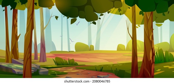Cartoon forest background, nature landscape with deciduous trees, moss on rocks, grass, bushes and sunlight spots on ground. Scenery summer or spring wood parallax natural scene, Vector illustration