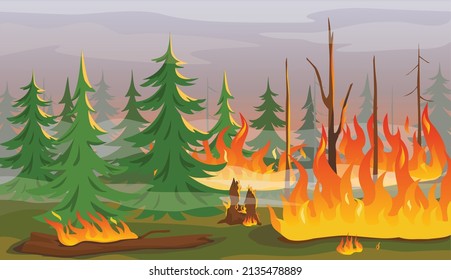 Cartoon forest fire, burning trees, wildfire natural disaster. Effect of climate change or global warming, bushfire flames vector illustration. Environmental disaster, damaged wild landscape