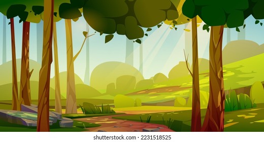 Cartoon forest landscape, summer day background with dirt road going along trees, bushes and green glade with stones or rocks under blue sky with sun beams, scenery wood, Vector illustration