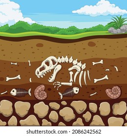 Cartoon fossil animals with dinosaur, fish, bone and shell