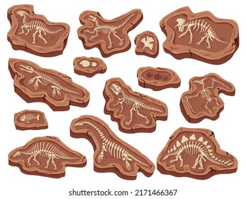 Fósiles de dibujos animados. Fossilización de dinosaurios, huesos antiguos de peces y concha de amonita. Pintura paleontológica, esqueleto animal, ilustración vectorial del museo. Viñeta antigua de los fósiles de los dinosaurios de Skeleton