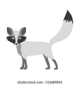 cartoon fox icon
