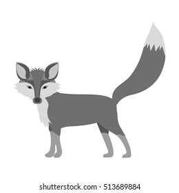 cartoon fox icon