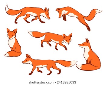 Cartoon fox in various poses, set of hand drawn foxes vector illustration