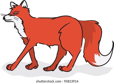 Cartoon fox walking or standing