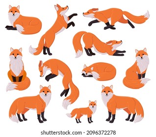 Cartoon foxes, forest red cute fox character. Woodland animal, forest wildlife predator sleeping, running, jumping vector illustration set. Funny red fox mascot. Orange animal in different poses