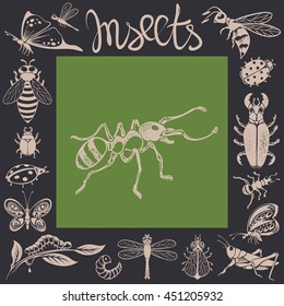 Cartoon Freehand Contour Insects 
