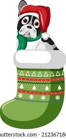 Cartoon french bulldog in Christmas stocking illustration